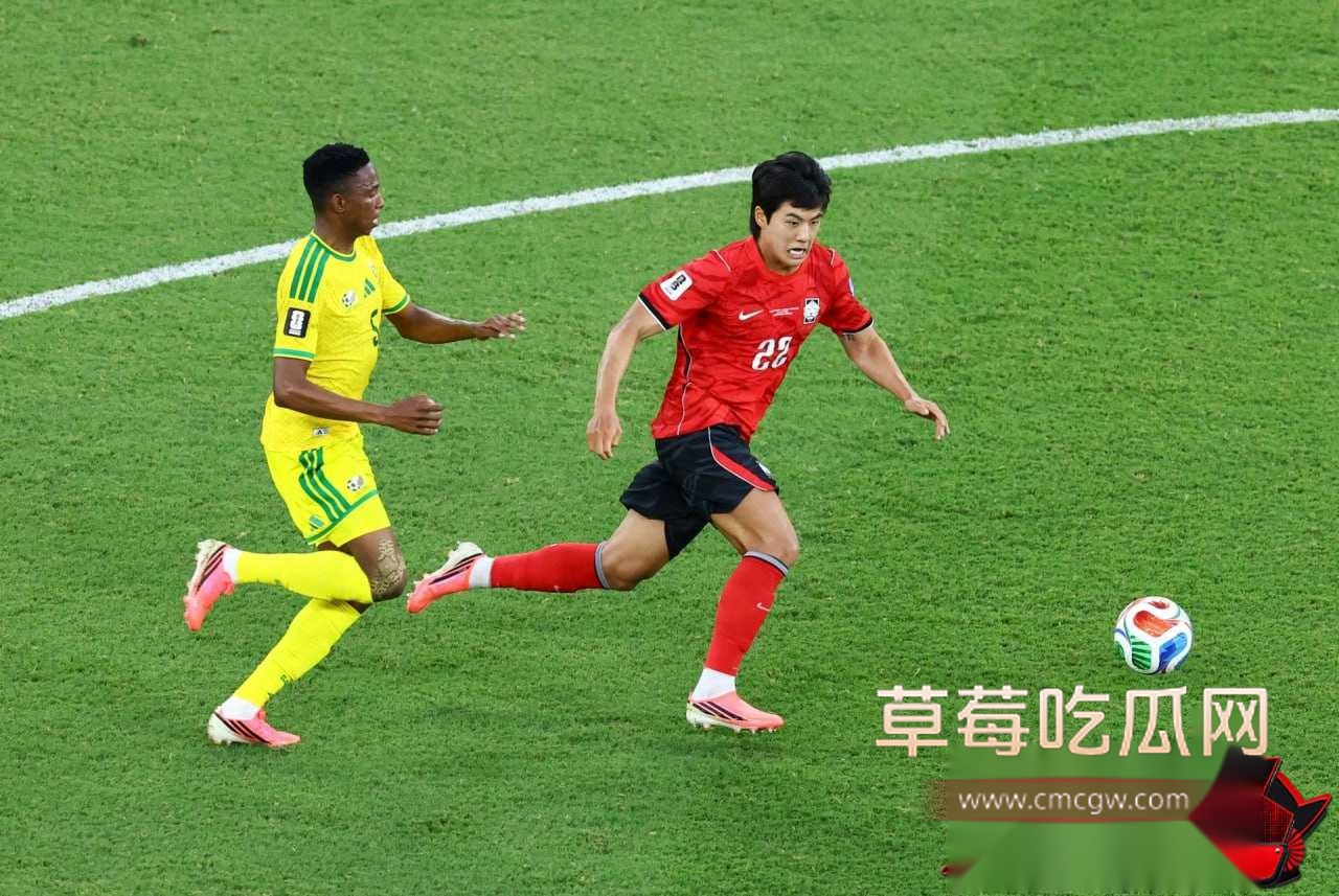 世界杯11 世界杯11