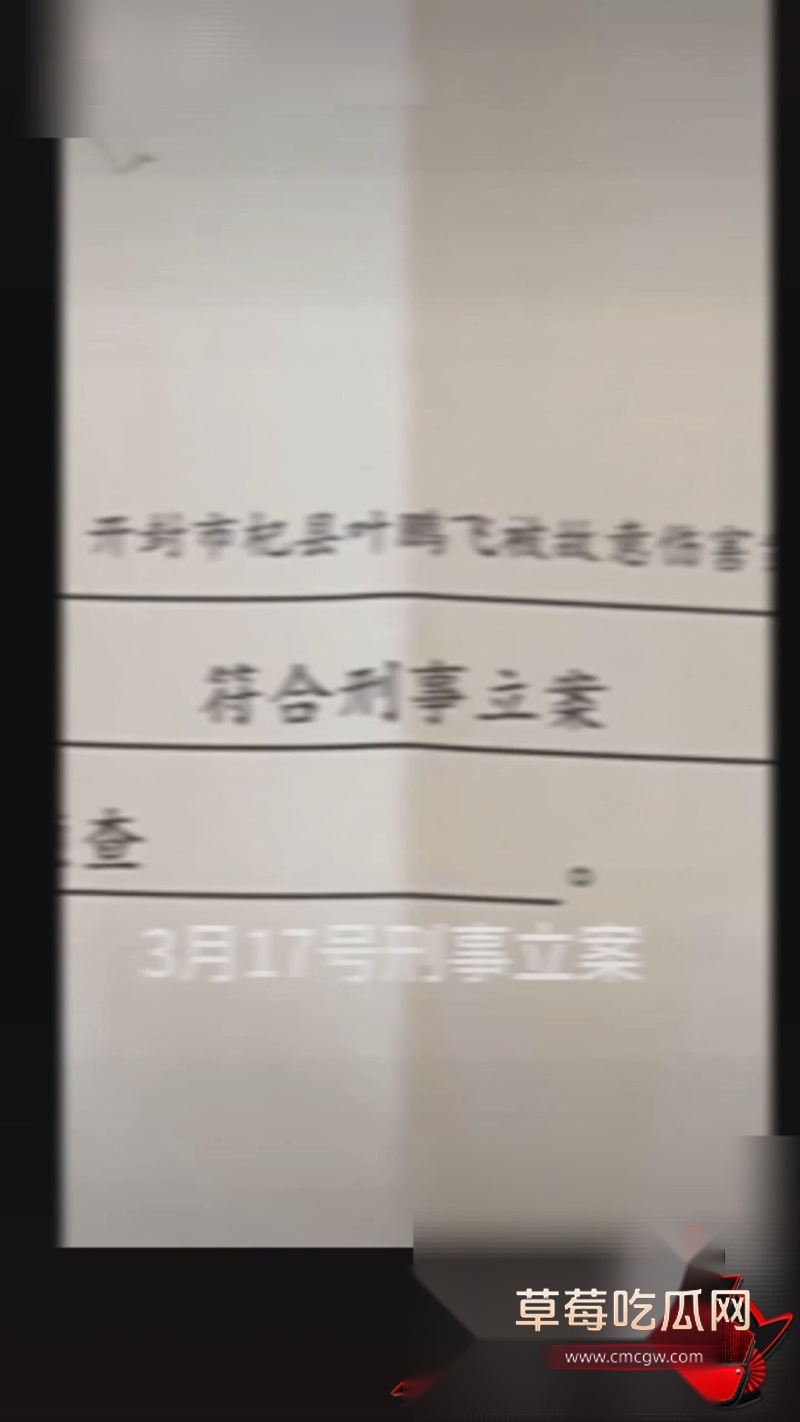 河南开封杞县 叶鹏飞 4 河南开封杞县 叶鹏飞 4