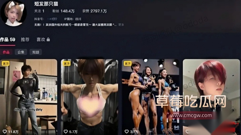 短发那只猫1 短发那只猫1
