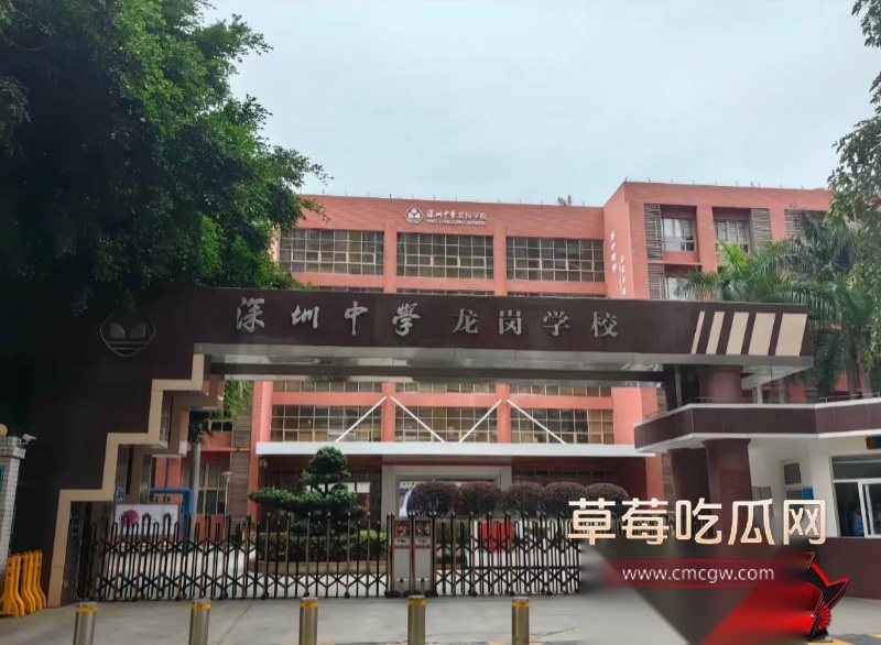 张素荣插足别人婚姻6 张素荣插足别人婚姻6