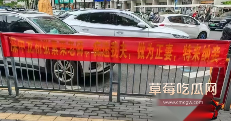 张素荣插足别人婚姻8 张素荣插足别人婚姻8
