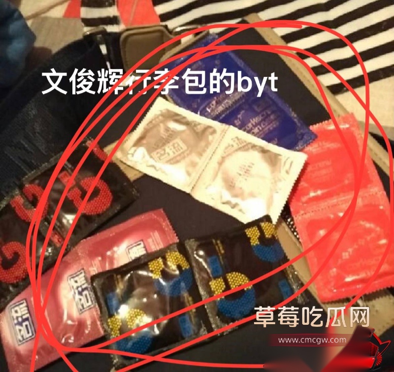 文俊辉酒店幽会爆料28 文俊辉酒店幽会爆料28