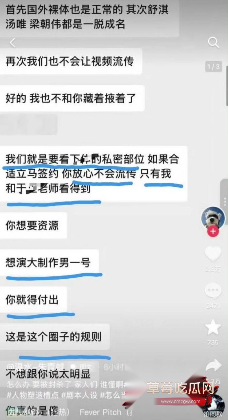 中国影视编剧于正4
