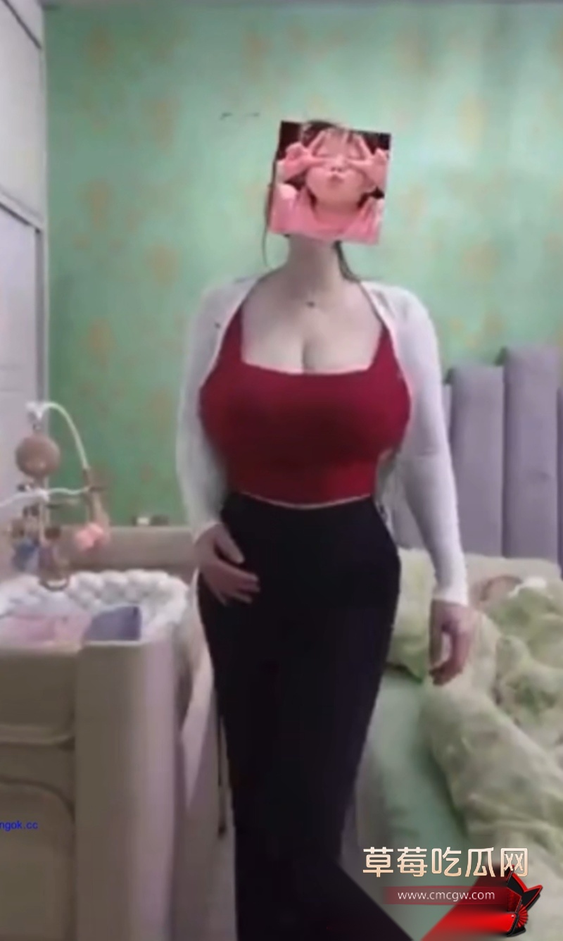 费若拉4 费若拉4