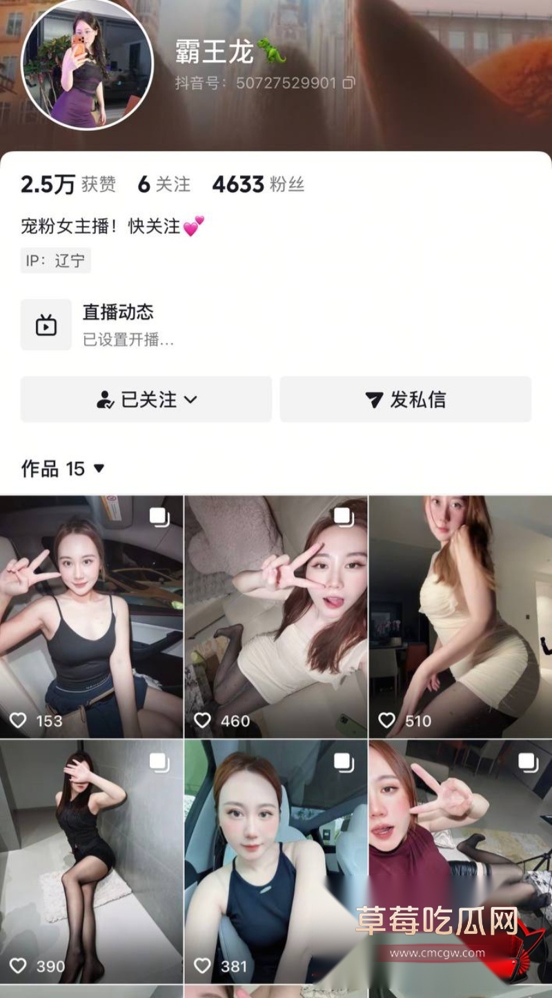 抖音女主播霸王龙4