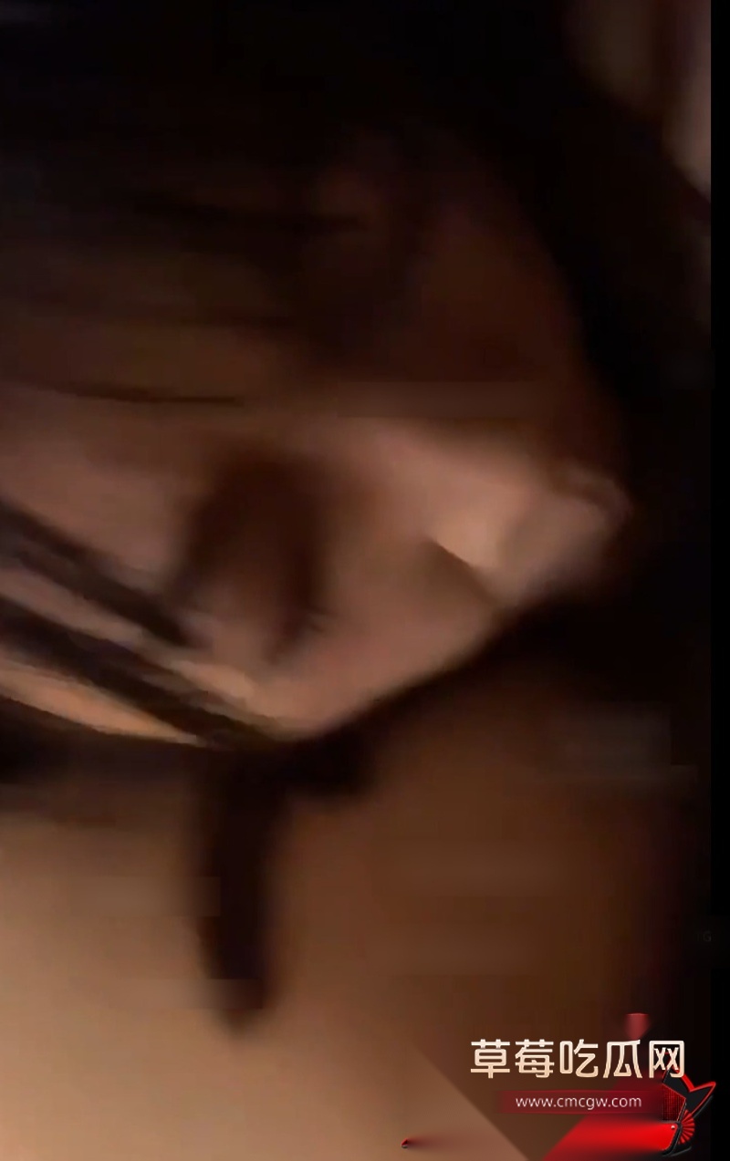 热带鱼2 热带鱼2