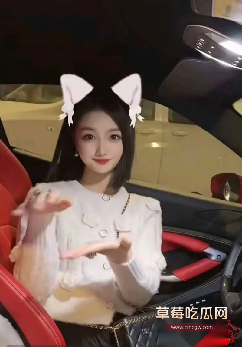 张嘉倪八年婚姻换出轨18 张嘉倪八年婚姻换出轨18