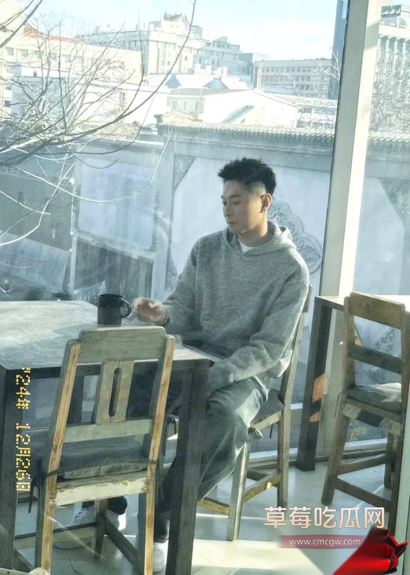 张嘉倪八年婚姻换出轨20 张嘉倪八年婚姻换出轨20