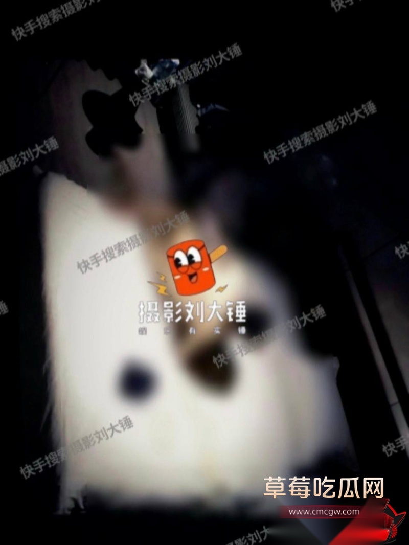 张嘉倪八年婚姻换出轨41 张嘉倪八年婚姻换出轨41
