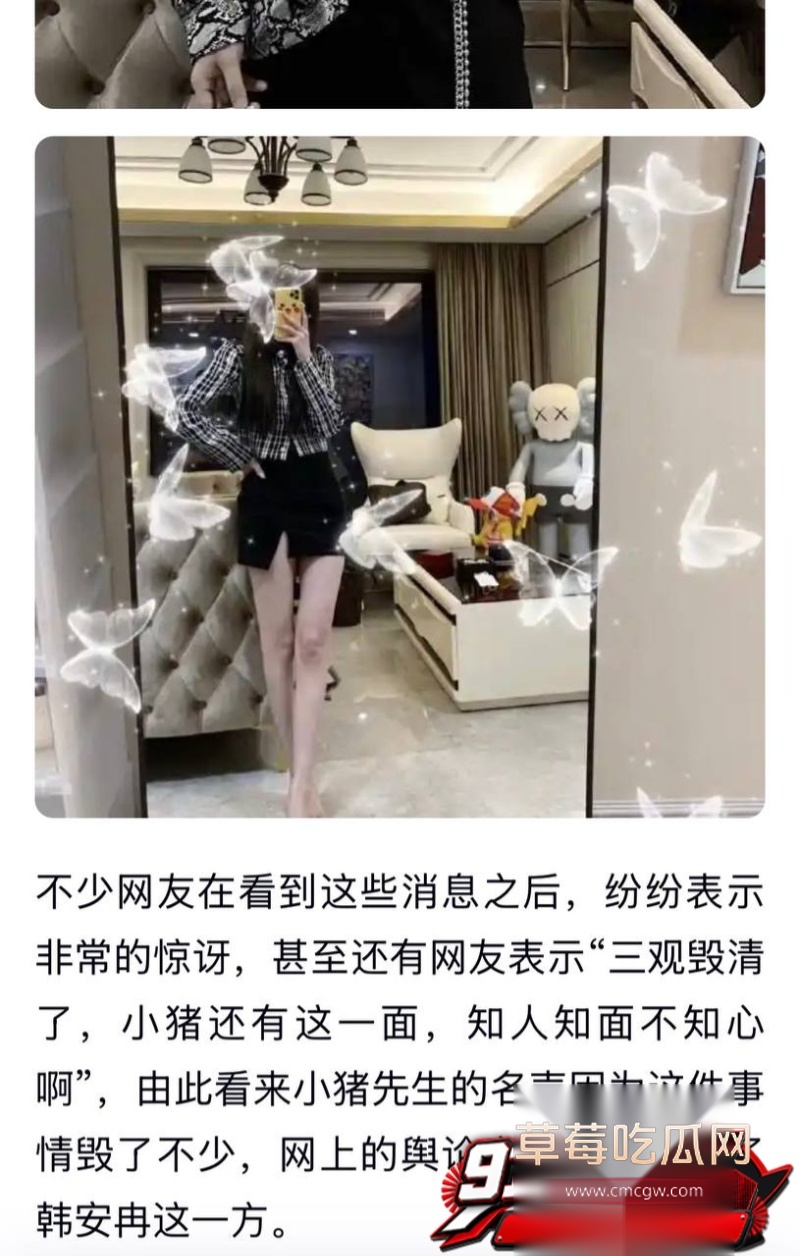 小猪7