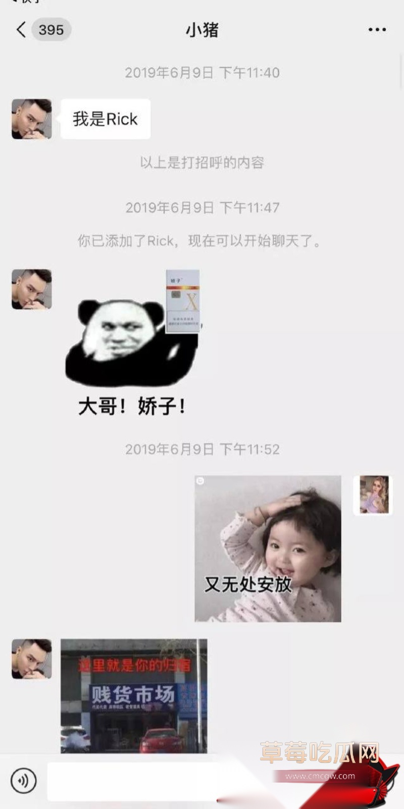 小猪25