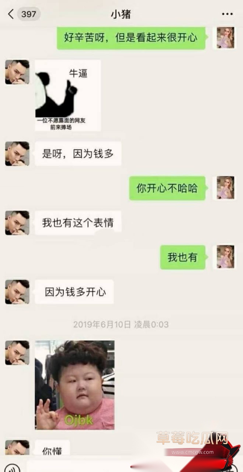 小猪31