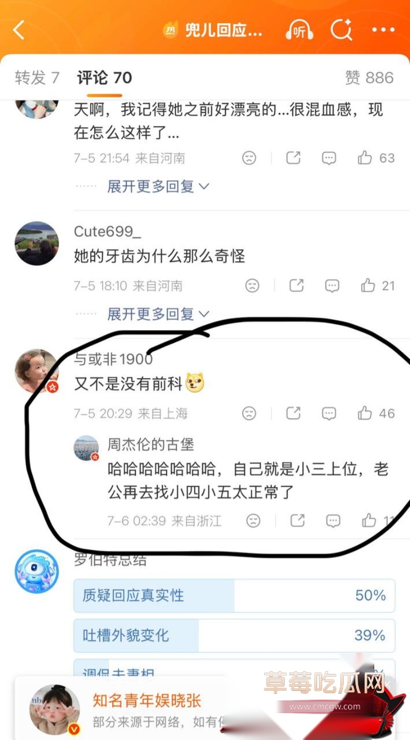 小猪8