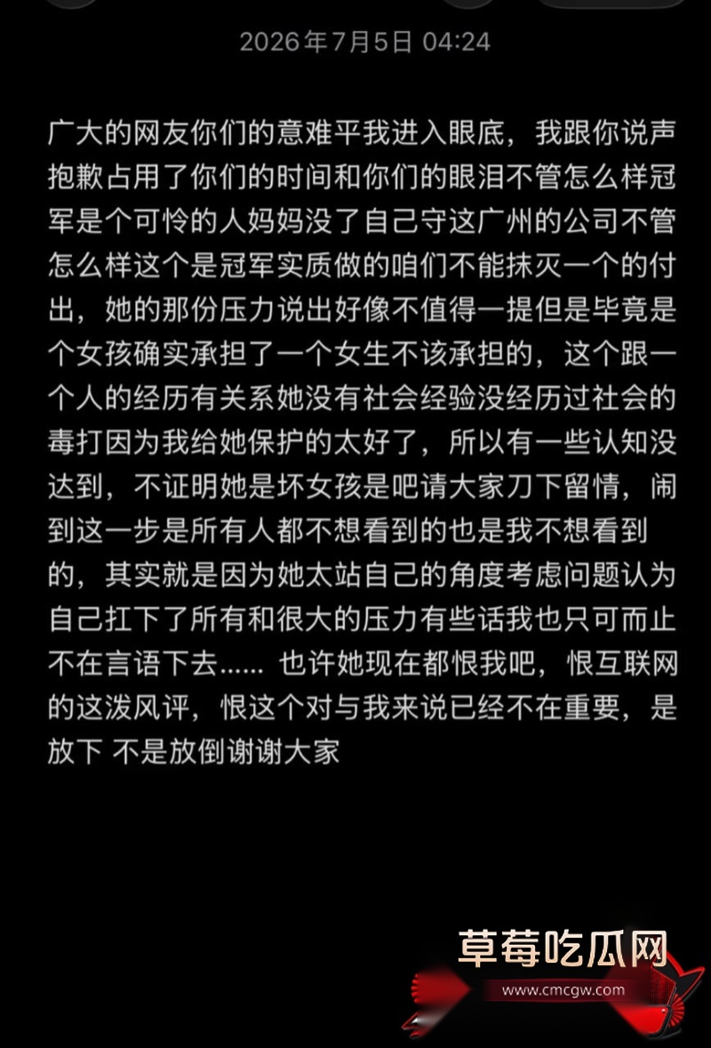 网红小冠军离婚大瓜14