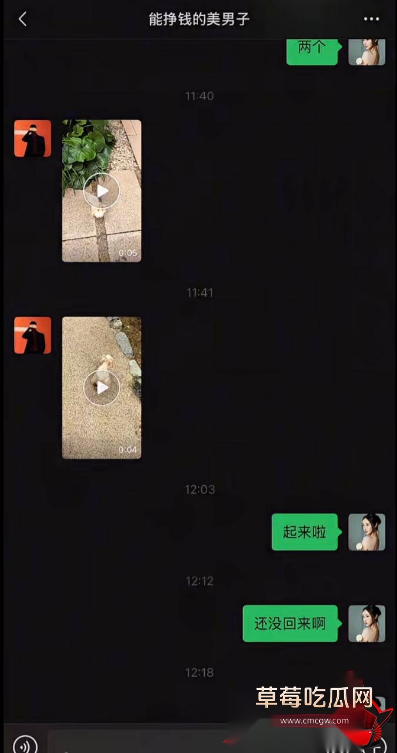 网红小冠军离婚大瓜29