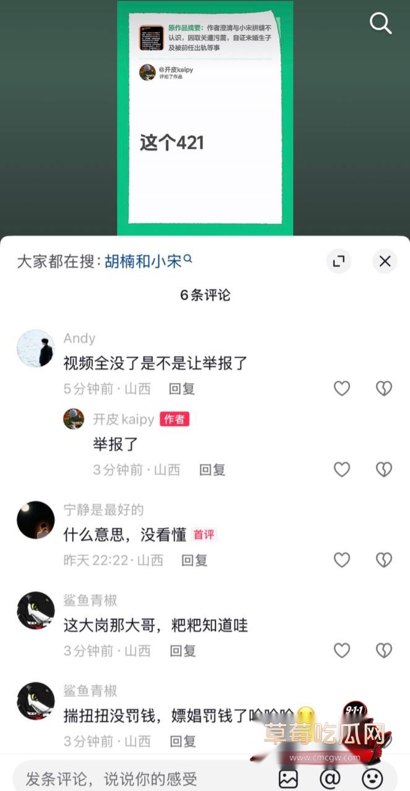 男网红小宋拼缝出轨约女粉3