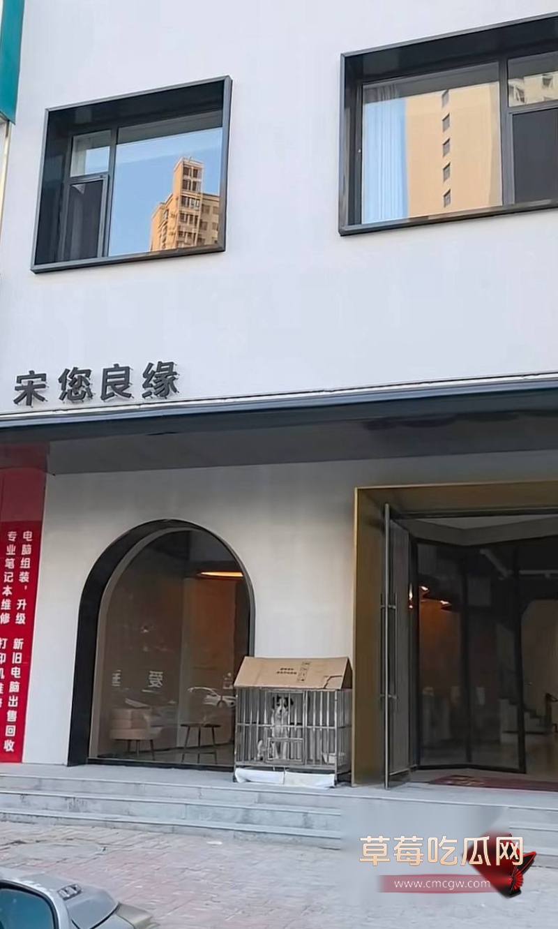 男网红小宋拼缝出轨约女粉6