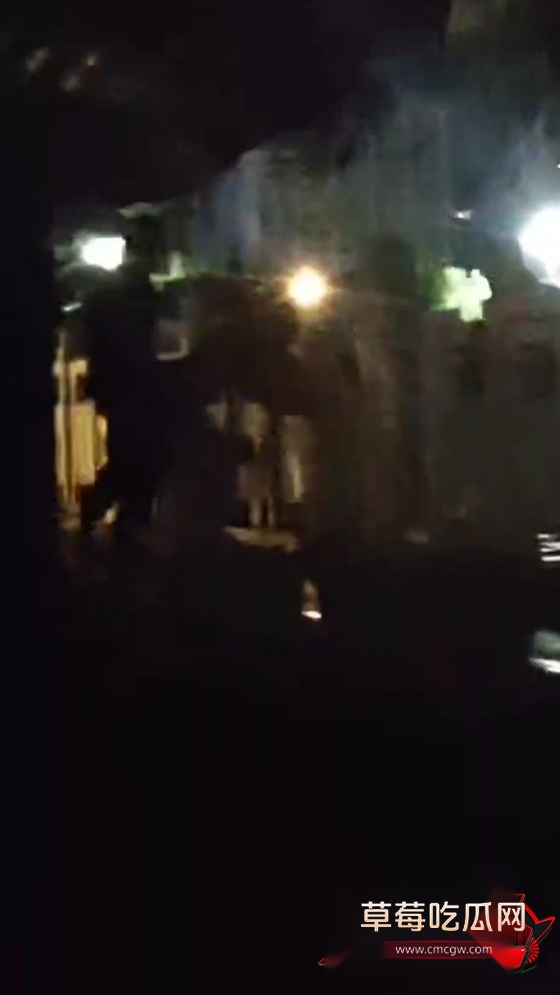 睢县北湖 路边情侣打炮2