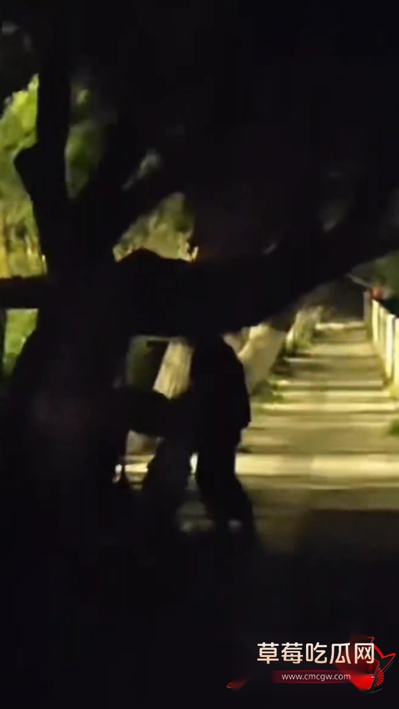 睢县北湖 路边情侣打炮3