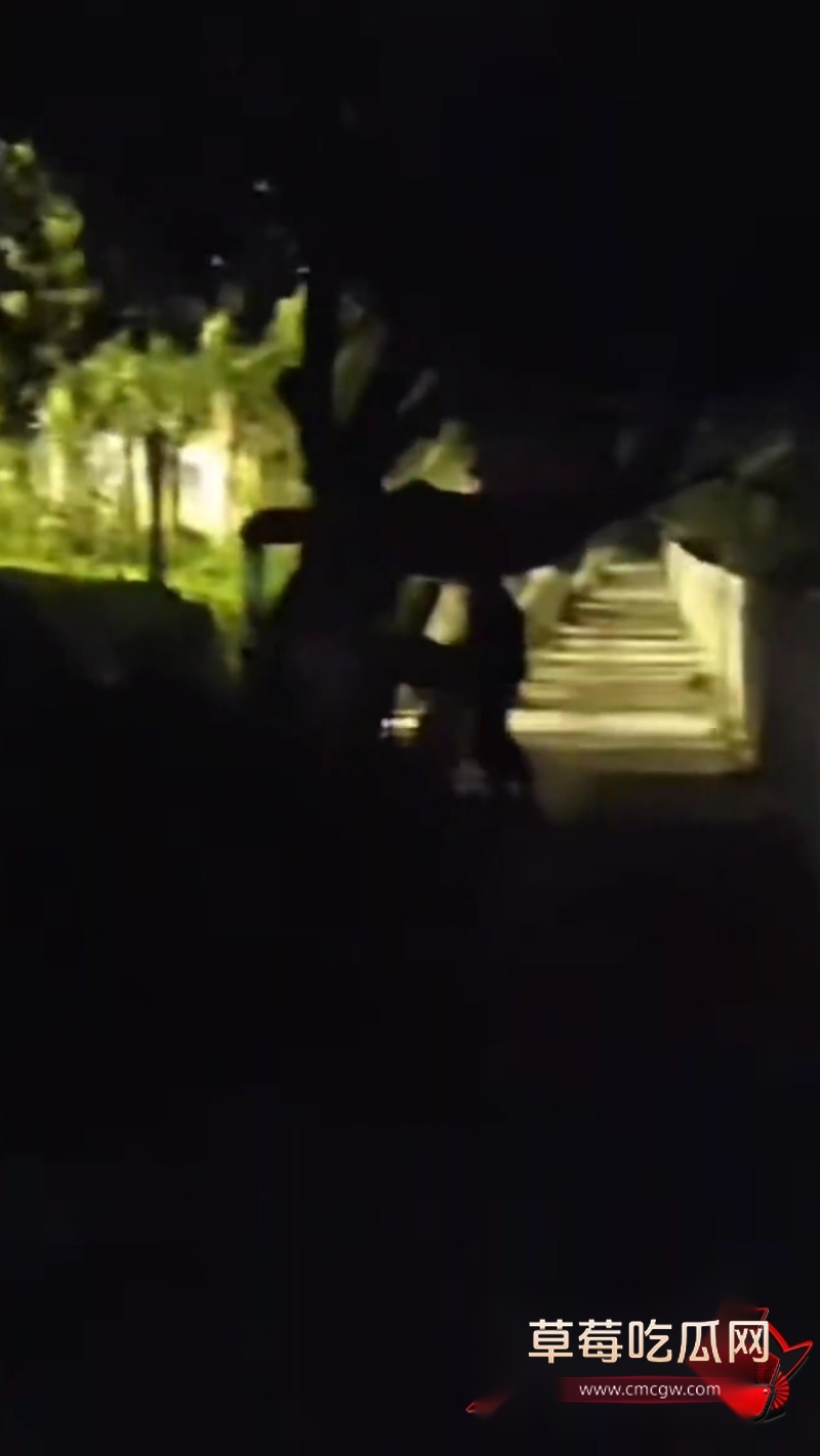 睢县北湖 路边情侣打炮4