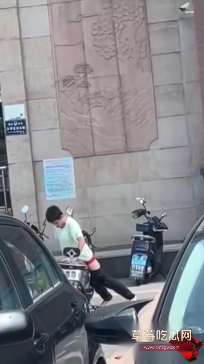 电动车1 电动车1