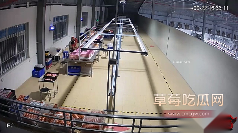 主管3 主管3