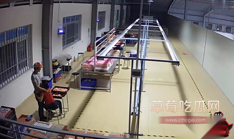 主管4 主管4