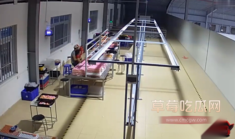 主管5 主管5