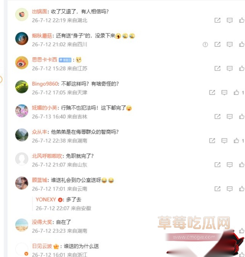 湖南常德西湖管理区张祥事件 8