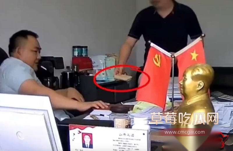 湖南常德西湖管理区张祥事件 12
