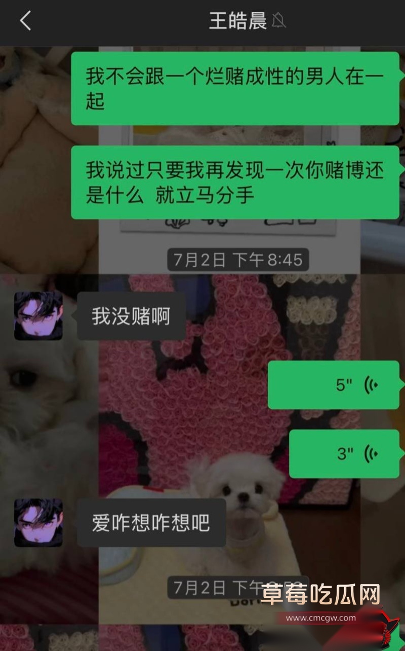快手38万粉 王皓晨 出轨乱搞 3 快手38万粉 王皓晨 出轨乱搞 3