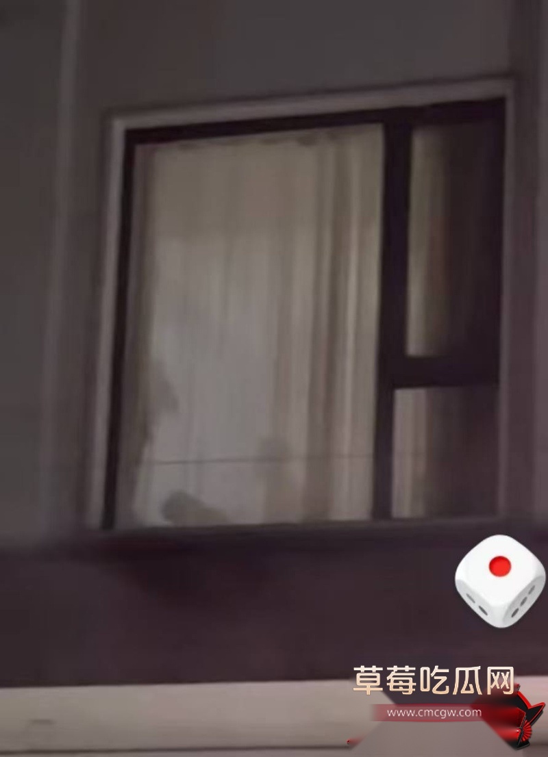 小情侣上演激情皮影戏 7