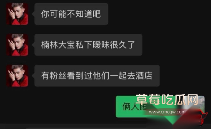 微博大V浪子楠林出轨 33 微博大V浪子楠林出轨 33