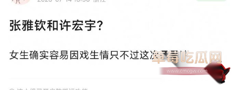 张雅钦许宏宇恋情曝光1 张雅钦许宏宇恋情曝光1