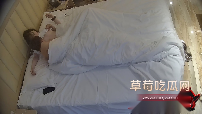 酒店监控偷拍性爱视频4 酒店监控偷拍性爱视频4