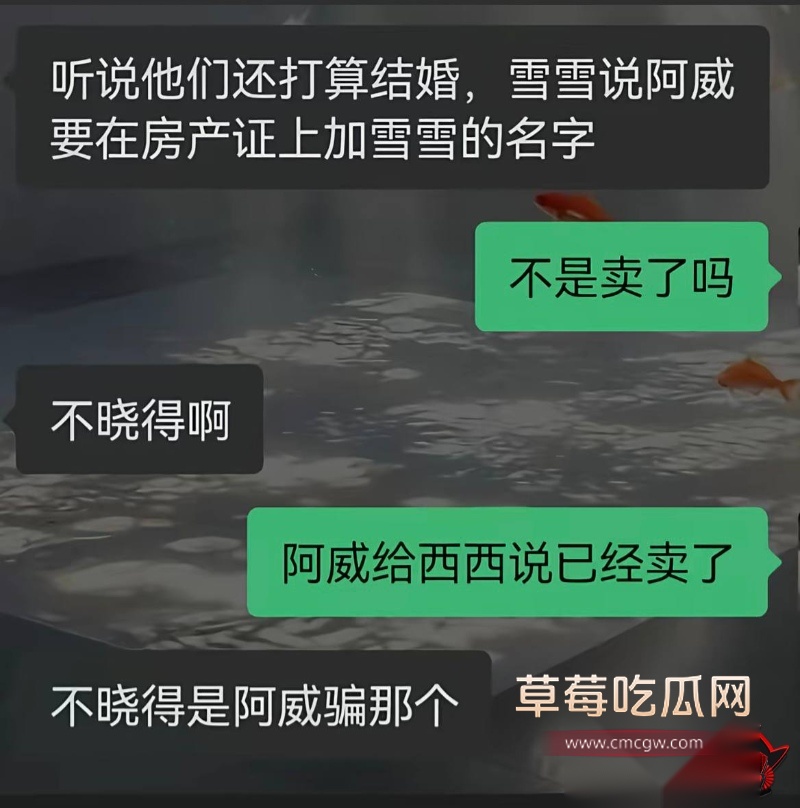 廖庭威事件曝光人设崩塌11