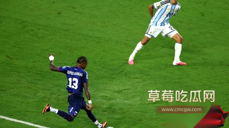 来自非洲小国的世界杯怒吼 1