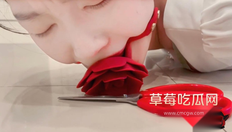 重口猎奇SM扎带虐6 重口猎奇SM扎带虐6
