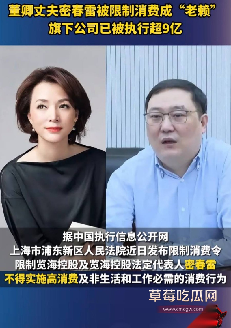 详解央视一姐 董卿 的人生大戏 1