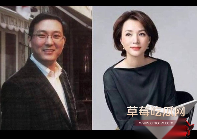 详解央视一姐 董卿 的人生大戏 2