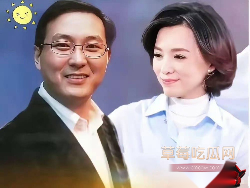 详解央视一姐 董卿 的人生大戏 4