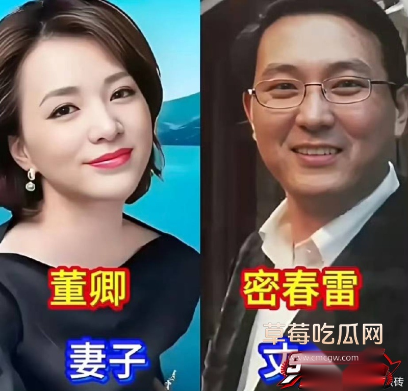 详解央视一姐 董卿 的人生大戏 6