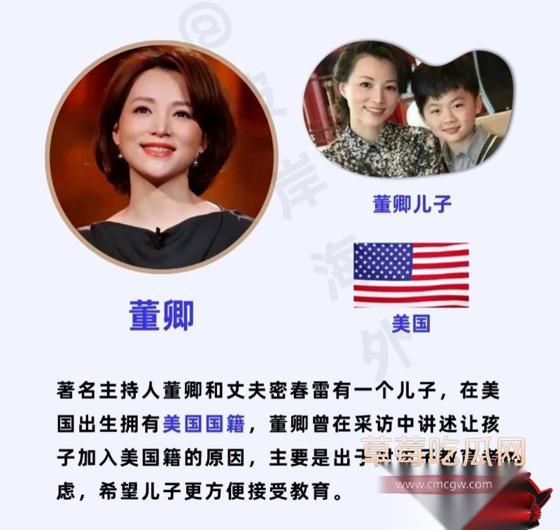 详解央视一姐 董卿 的人生大戏 9