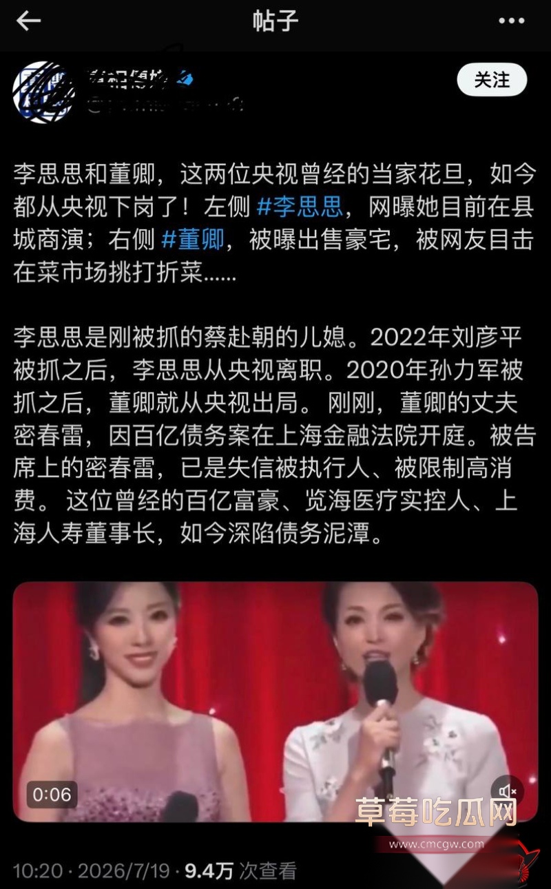 详解央视一姐 董卿 的人生大戏 11