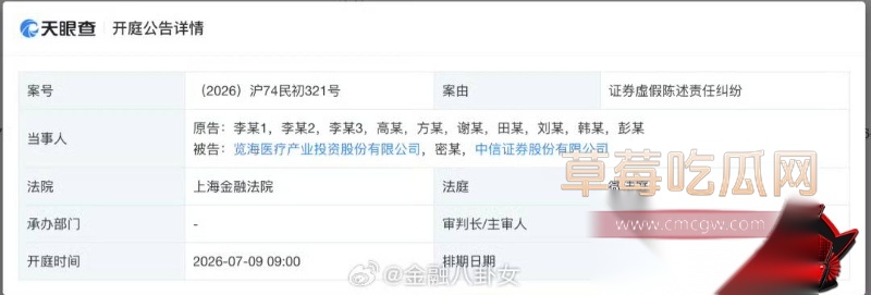 详解央视一姐 董卿 的人生大戏 16