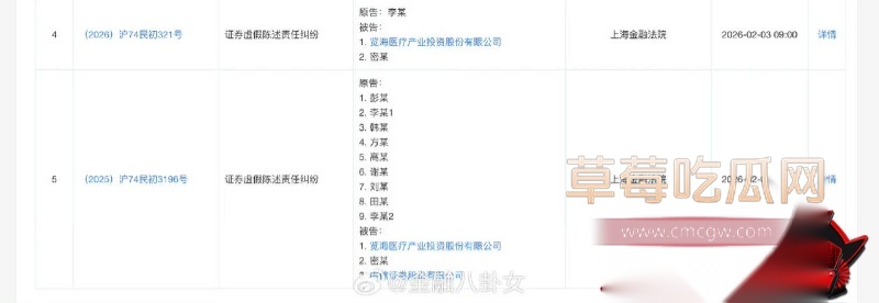 详解央视一姐 董卿 的人生大戏 17