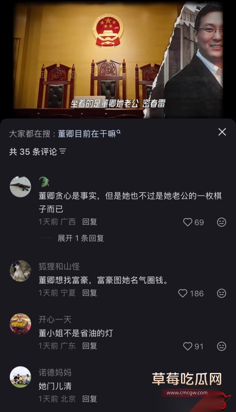 详解央视一姐 董卿 的人生大戏 23