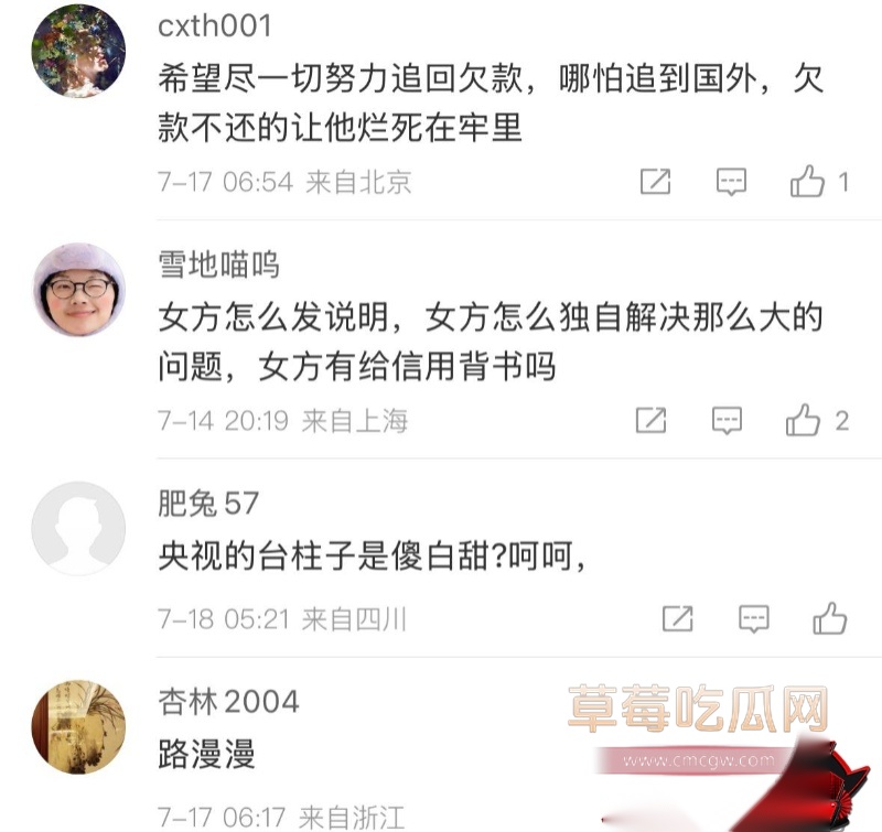 详解央视一姐 董卿 的人生大戏 26