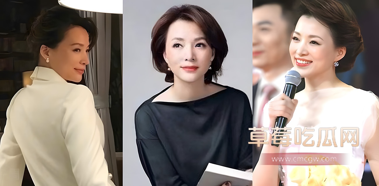 详解央视一姐 董卿 的人生大戏封面 详解央视一姐 董卿 的人生大戏封面