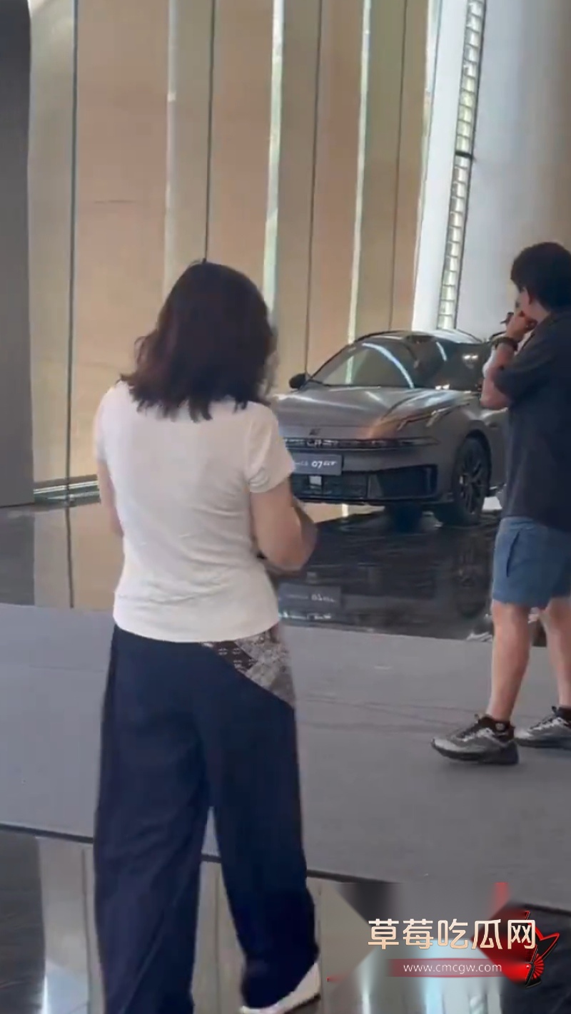 极氪汽车3